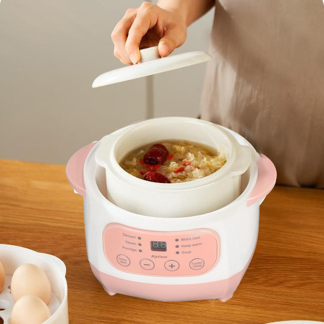 Electric Stew Pot, 1L 200W Appointment Timing Smart Slow Cooker with Steamer & Boil Dry, Automatic Mini Ceramic Pot with Lid, Digital Porridge Soup Pot for Home