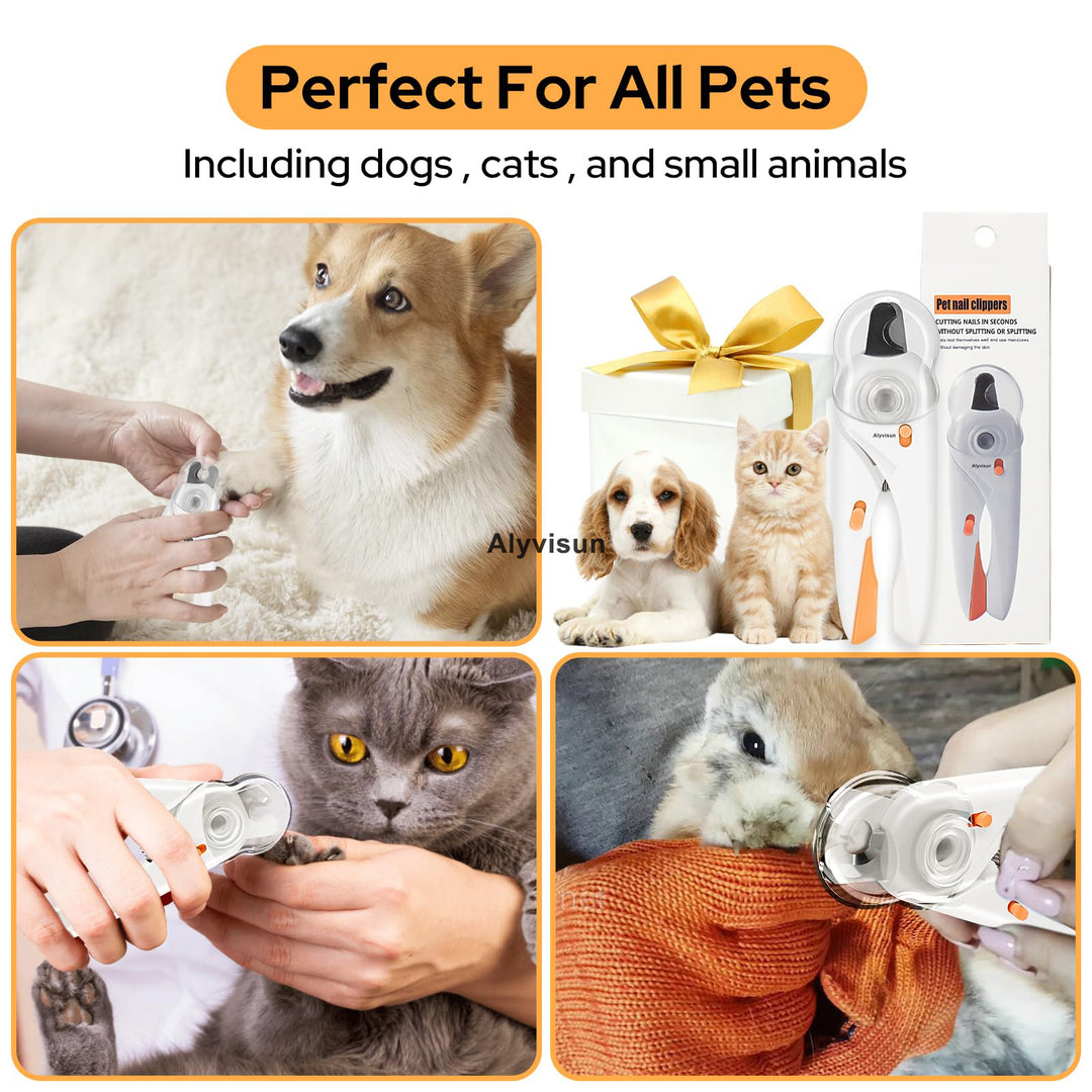 Alyvisun Dog Nail Clippers, Cat Nail Clippers with High LED Lighting, Safety Guard, Nail File and Transparent Splash Guard, for Large, Medium and Small Animals（White Orange）