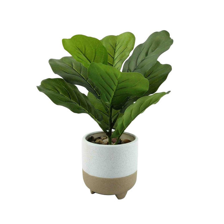 Bonsai Tree Plastic Artificial Ficus Lyrata Fiddle Leaf Plant