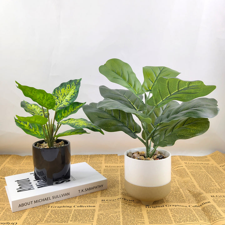 Bonsai Tree Plastic Artificial Ficus Lyrata Fiddle Leaf Plant