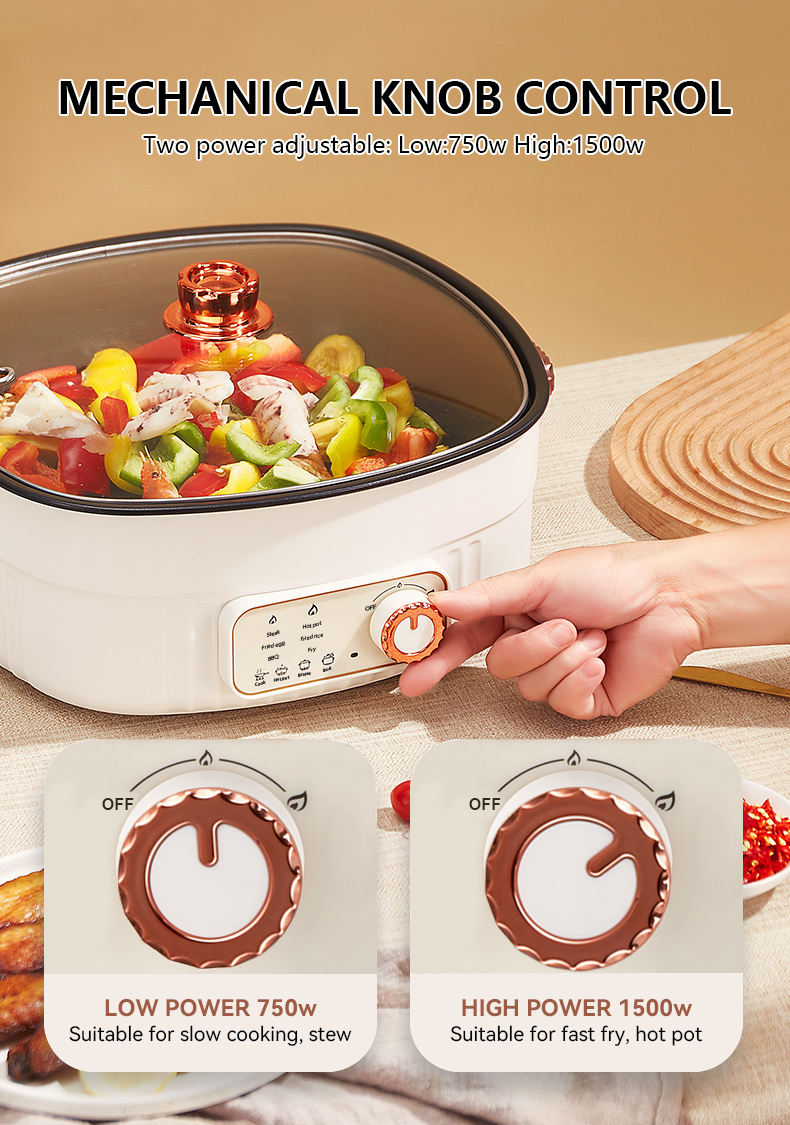 6L Hot Pot Cooker Soup Cooker Nonstick Coating Mechanical Knob Control Electric Multifunctional Cooker